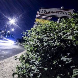 View of road sign at night