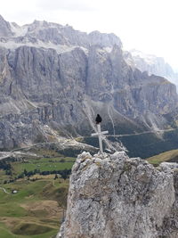 Bird sitting on the cross at the top of the mountain