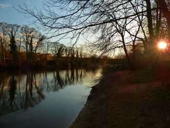 Silhouette of trees in lake at sunset