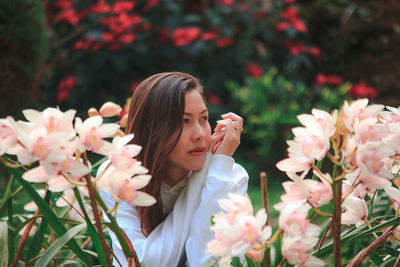 High angle view of woman and pink flowering plants