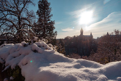 Scenic view of snow covered trees against sky