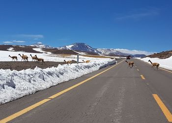 People on road by snowcapped mountains against sky