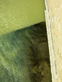 Close-up of water in sand