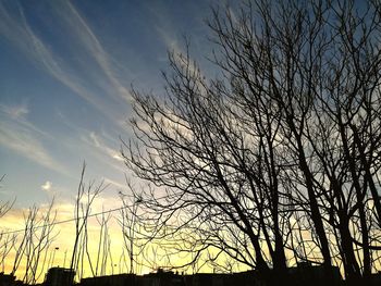 Low angle view of silhouette bare trees against sky