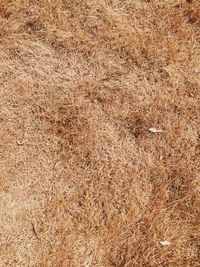 Full frame shot of abstract pattern on sand