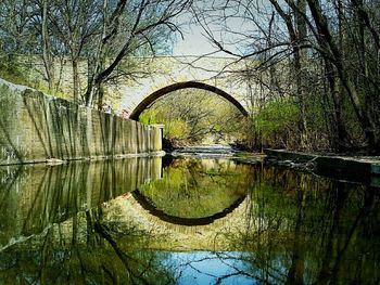 Reflection of trees in water