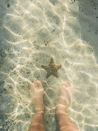 Low section of women standing by starfish in water at shore