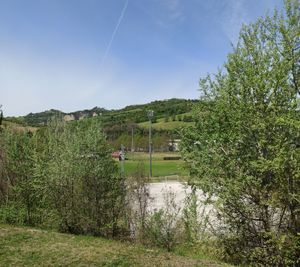 Scenic view of trees on field against sky