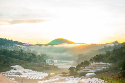 Scenic view of landscape against sky during sunset