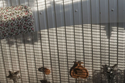Close-up of potted plants on table at home