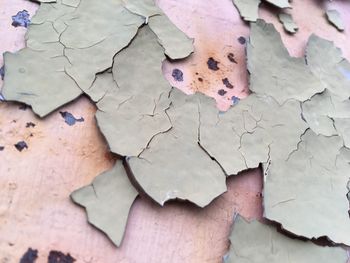 Close-up of damaged paper on table