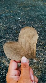 Close-up of cropped hand