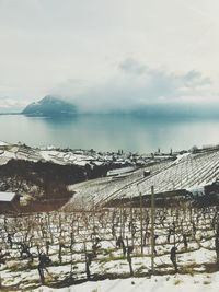 Scenic view of sea against sky during winter