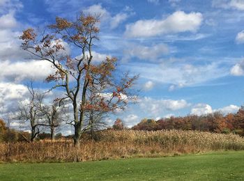 Scenic view of grassy field against cloudy sky