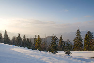 Frosty day on the top of the mountain