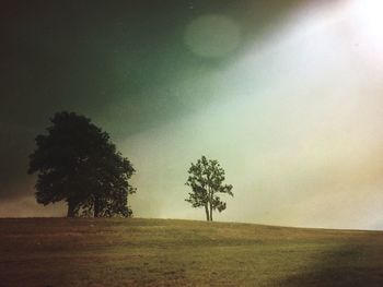 Scenic view of grassy field against sky