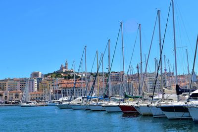 Sailboats moored in harbor