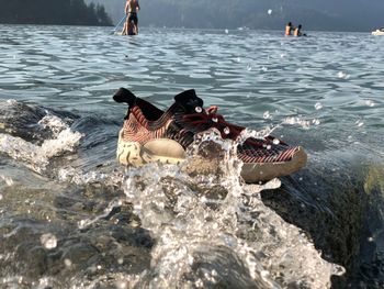 High angle view of ducks swimming in sea