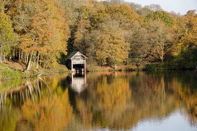 Scenic view of lake by trees