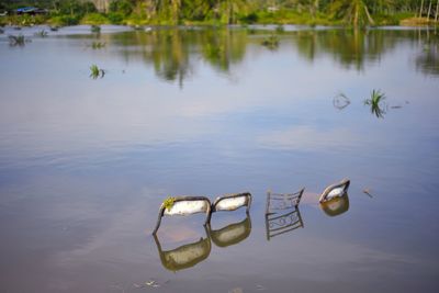 Scenic view of swimming pool in lake