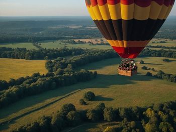 Hot air balloons flying over landscape