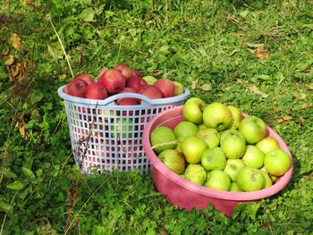 High angle view of apples in basket