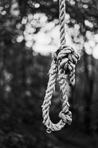 Close-up of rope tied on wooden post
