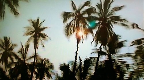 Low angle view of silhouette palm trees against sky