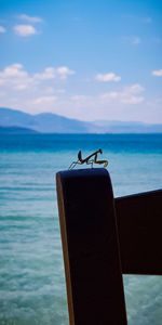 Bird perching on wooden post in sea against sky