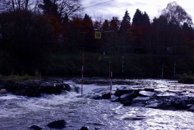 Scenic view of forest against sky during winter