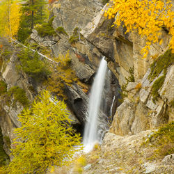 Scenic view of waterfall