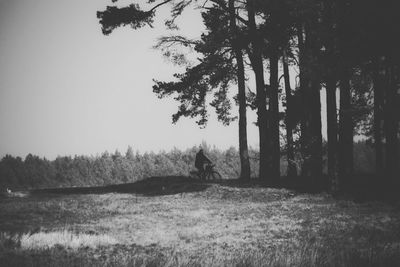 Man on field by trees in forest