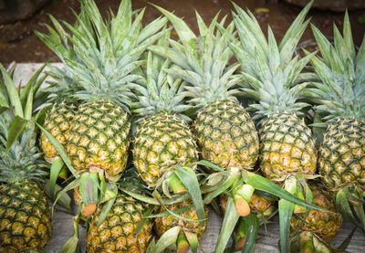 Close-up of fruits growing in farm