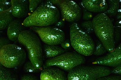 Full frame shot of avocado