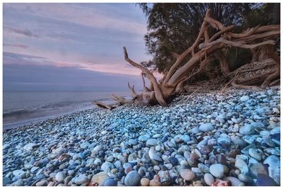 Pebbles on beach against sky