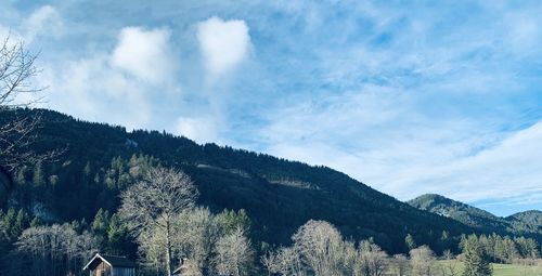 Panoramic view of trees and mountains against sky