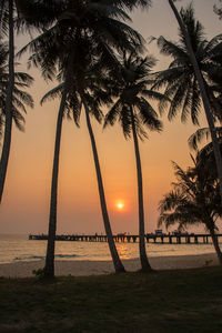 Silhouette palm trees on beach against sky during sunset