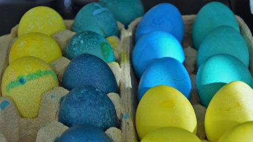 Close-up of multi colored candies