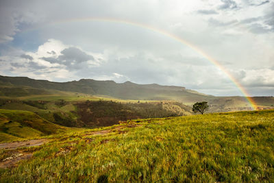 Scenic view of grassy landscape against rainbow in cloudy sky