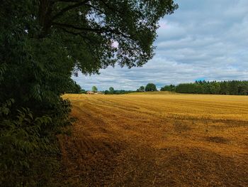 Scenic view of field against sky