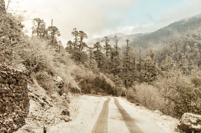 Road amidst trees against sky