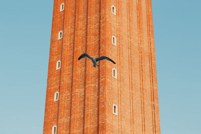 Low angle view of bird flying against tower in city