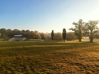 Scenic view of field against clear sky