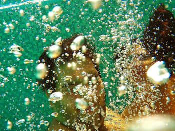 Full frame shot of bubbles in sea