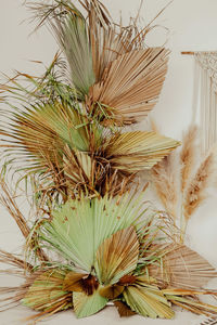 Close-up of potted plant on table