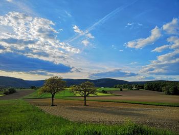 Scenic view of field against sky