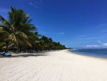 Scenic view of palm trees at beach against sky