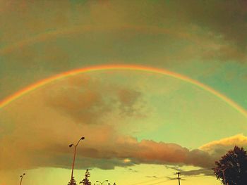 Low angle view of rainbow over trees