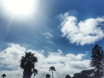 Low angle view of palm trees against cloudy sky