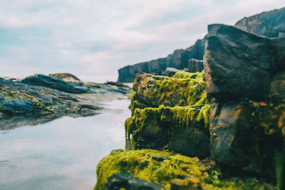 Close-up of rocks by sea against sky